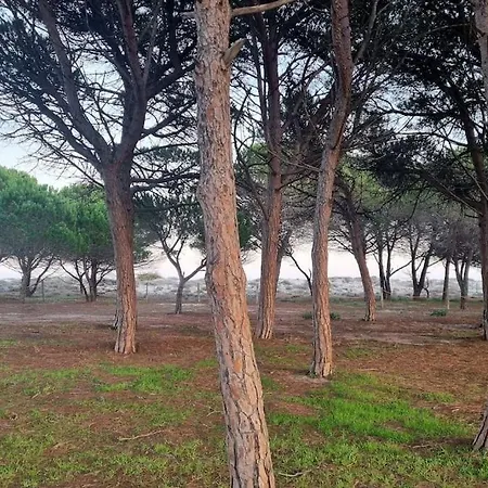 Casetta Al Mare Budoni